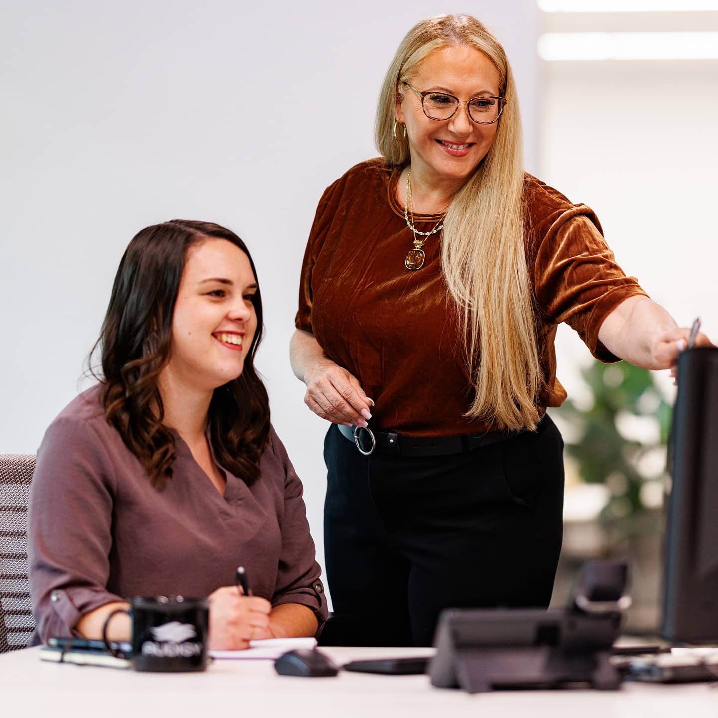 Two professional women meeting at a computer